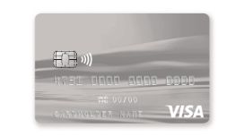 pointup-visa-standard